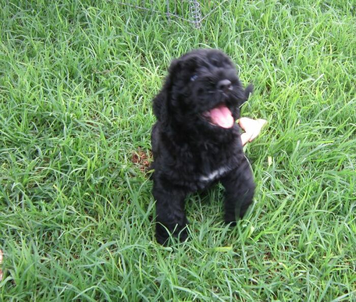 I Is Always A Good And Happy Boi........🤗