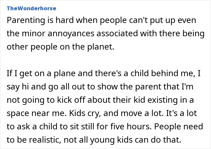 Mom defending her toddler mid-flight as an angry passenger reacts to child fidgeting on an airplane. Mom defending her toddler mid-flight as an angry passenger reacts to child fidgeting on an airplane.