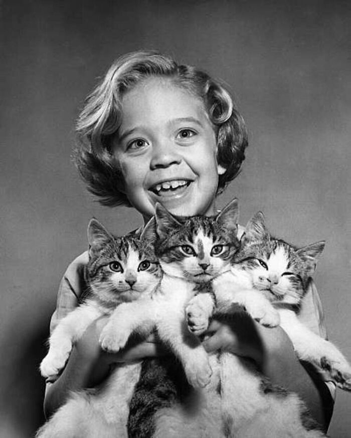 Smiling vintage photo of a child holding three cats, showcasing the timeless bond between kids and cats.