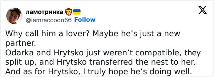 Internet Falls In Love With Ukrainian Storks Caught In A Relationship Scandal