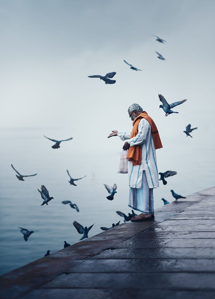 Older man feeding pigeons by a riverside platform, a serene street photography moment captured by talented photographers.