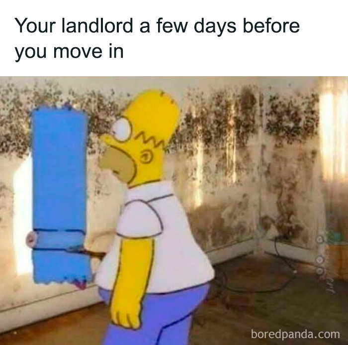 Homer Simpson attempting to paint over mold on a wall, illustrating bad landlords making renting a nightmare.