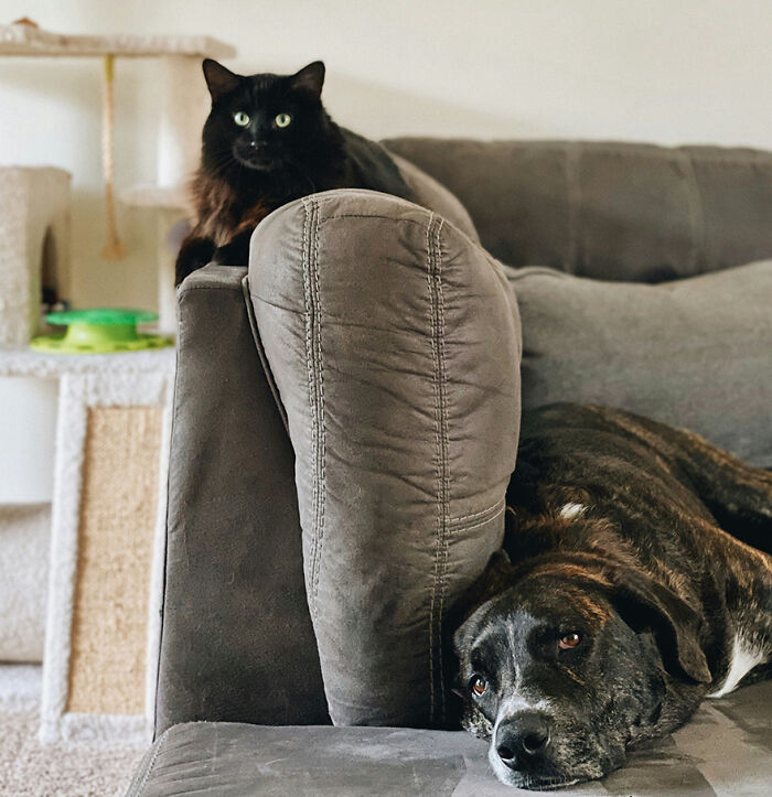 “What’s One Hill That Others May Not Agree With But That You Will Die On?” (37 Answers)