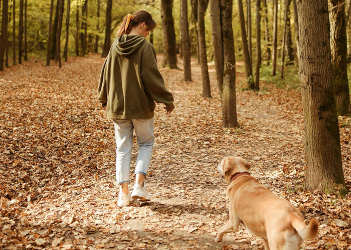 “We Need To Leave… Now”: 40 Heart-Pounding Moments When Gut Instinct Meant Everything