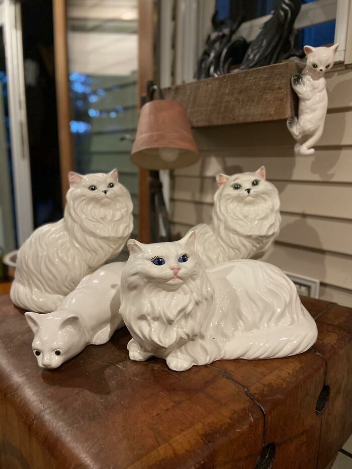 Collection of weird and wonderful thrifted ceramic cat figurines displayed on a wooden surface indoors.