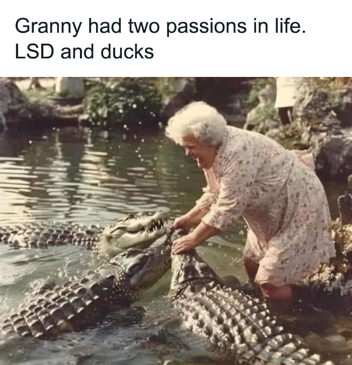 Elderly woman interacting with alligators humorously illustrating sarcasm for those who hate taking life seriously memes.