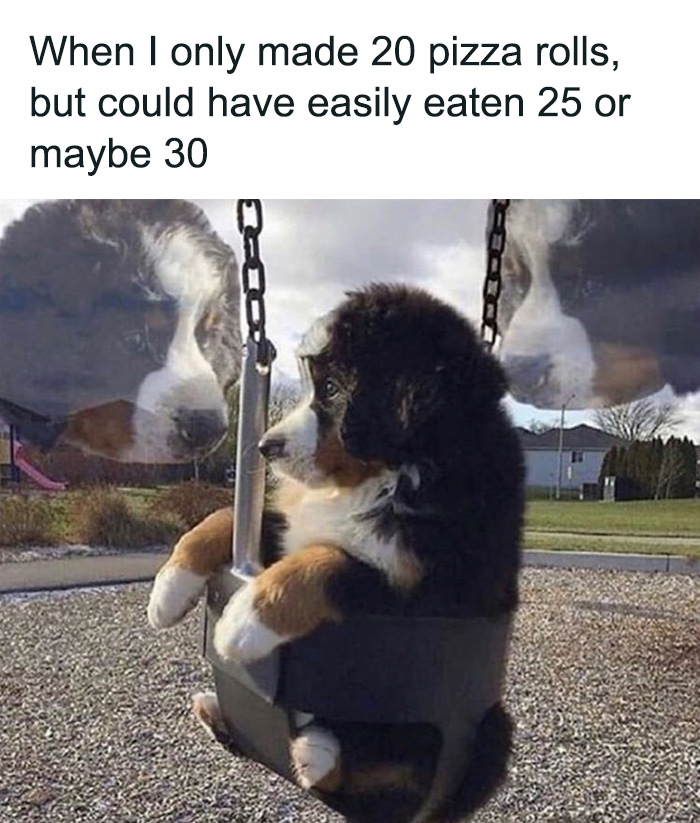 Sarcastic meme showing a puppy on a swing with ghostly larger dogs reflecting about pizza rolls eaten.