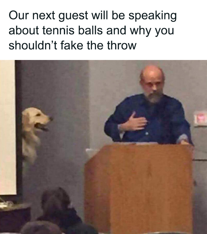 Man at podium with dog peeking from behind wall, a meme from I speak fluent sarcasm collection.