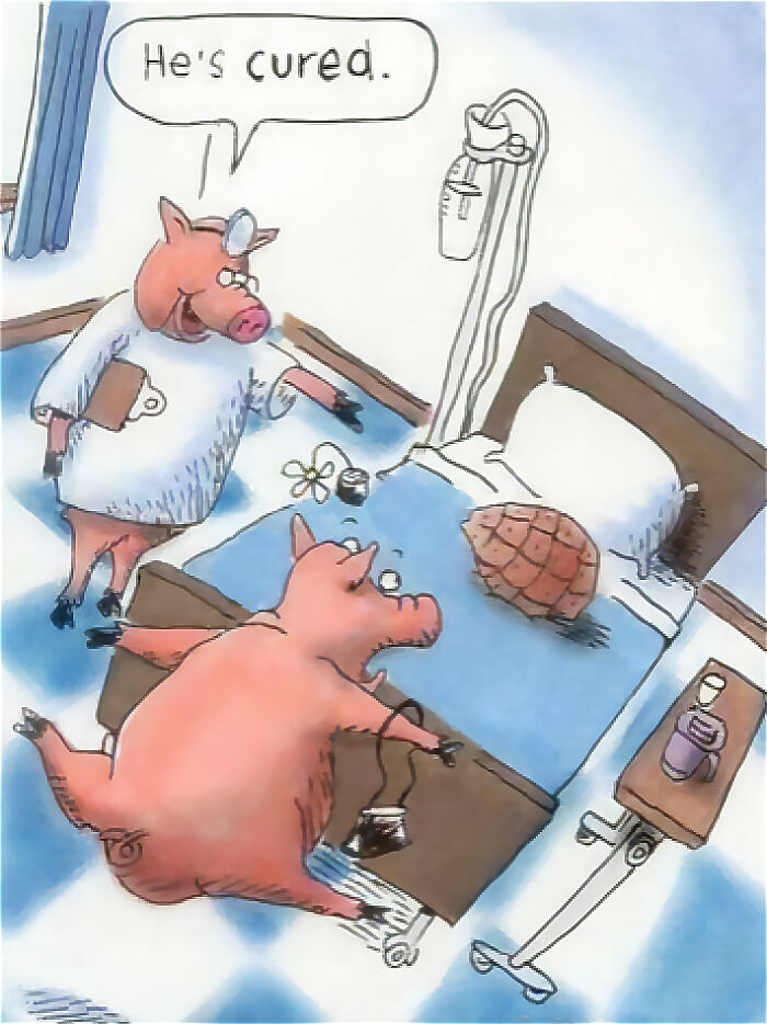 Cartoon pig doctor declaring patient cured in a hospital room, a funny meme relatable to working in hospitality humor.