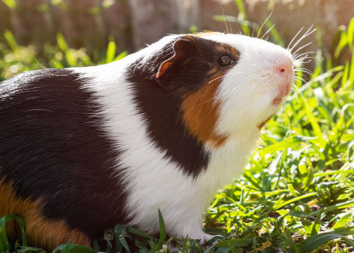 50 People Share Their Injuries That Are Not Funny But You Can’t Help But Laugh