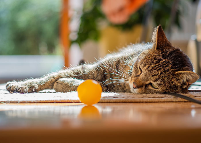 50 People Share Their Injuries That Are Not Funny But You Can’t Help But Laugh