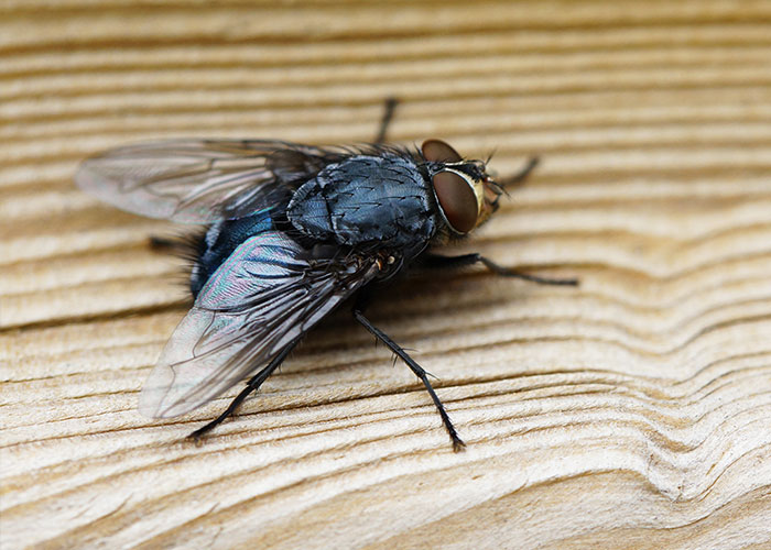 50 People Share Their Injuries That Are Not Funny But You Can’t Help But Laugh