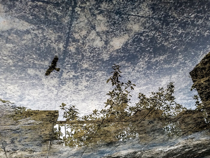 Poetry Of The Ordinary