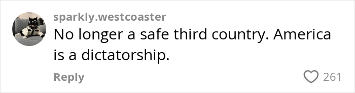Comment stating America is a dictatorship, reflecting concerns about the US losing money in the tourism sector due to fewer visitors.