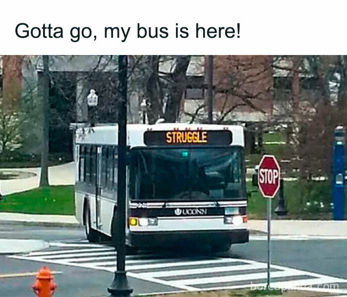 Bus with digital sign reading struggle and caption about catching bus, a funny meme from a Facebook page of hilarious memes.