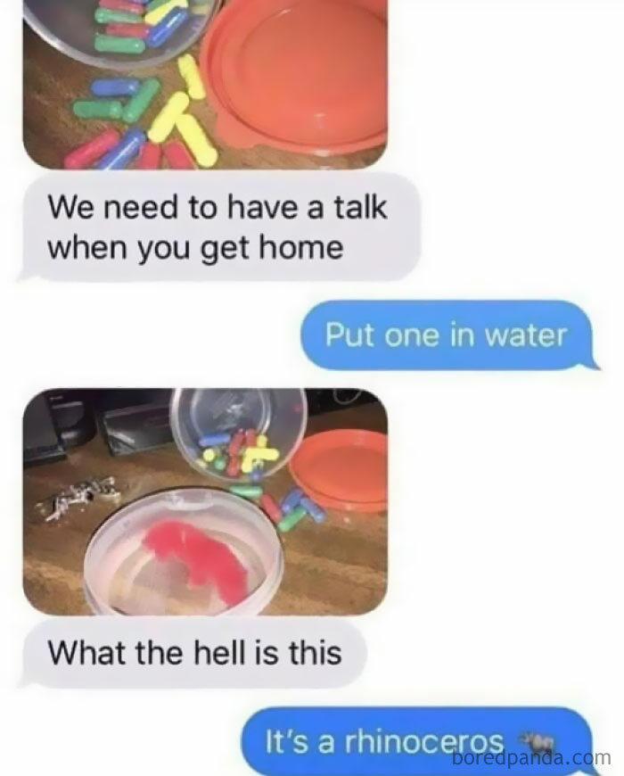 Text message meme showing a colorful capsule turning into a gummy rhinoceros, part of daily laughs memes.