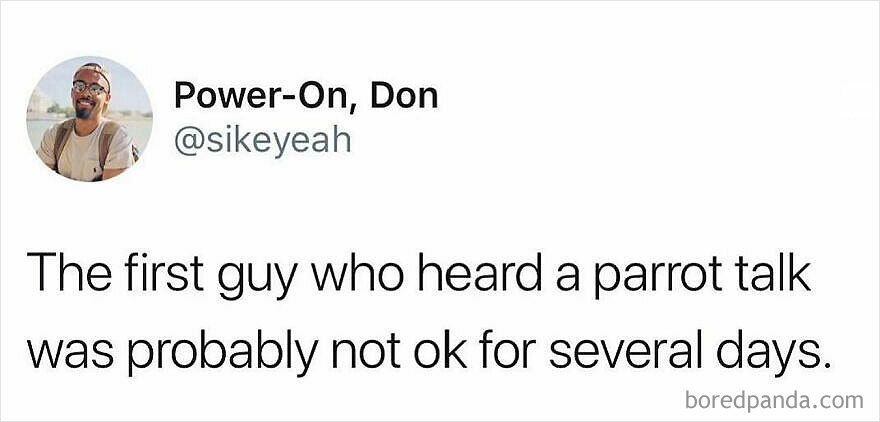 Tweet by user Power-On Don with a funny meme about hearing a parrot talk, illustrating memes for a meltdown theme.