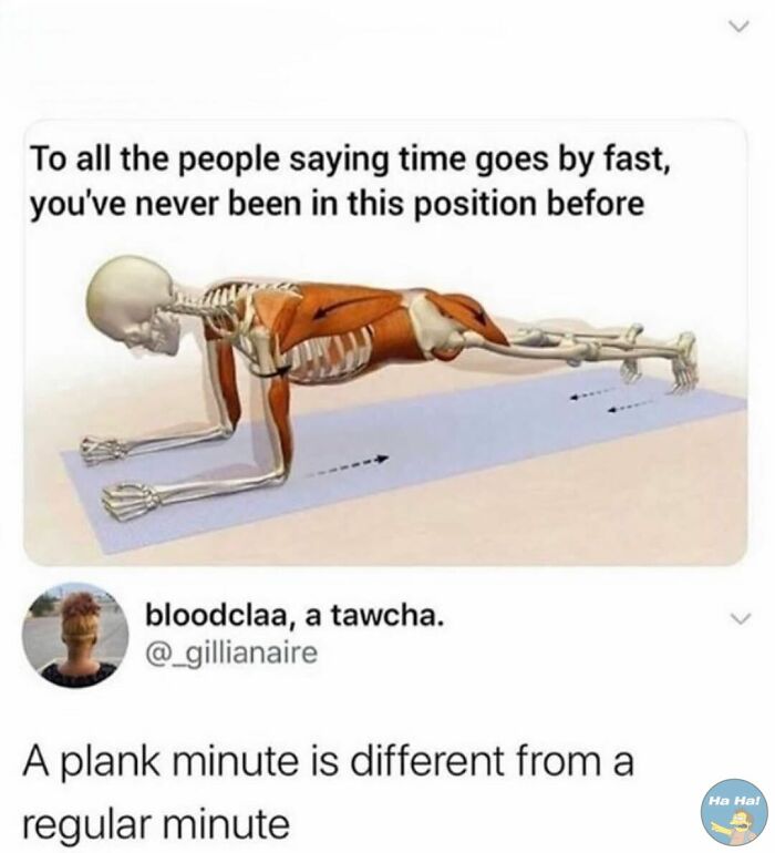 Anatomical illustration of a plank exercise with a caption about time perception in mocking posts jokes memes.