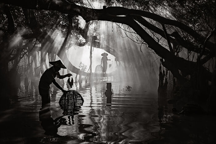 "Hands Of Time, Net Of Light" By Chester Ng (United States)