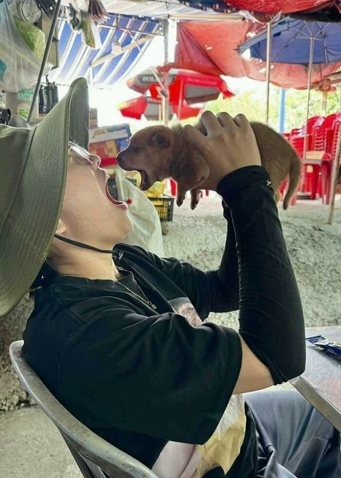Person holding a small puppy close to their open mouth in a playful moment with hilarious animals acting goofy.