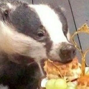 sheila_graham_9655 avatar