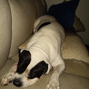 laurawilliams_5 avatar