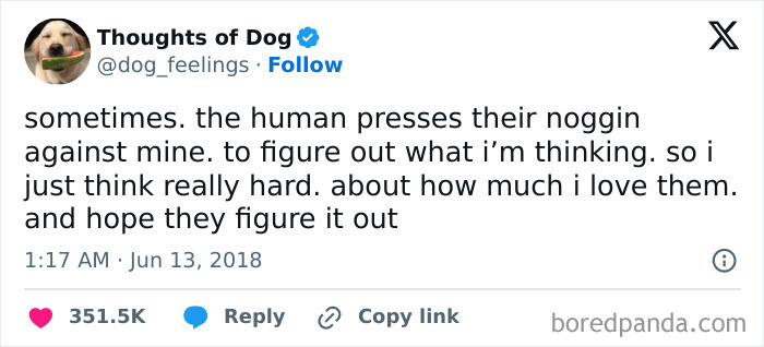 Tweet from Thoughts of Dog sharing a wholesome dog meme expressing love and connection with their human.