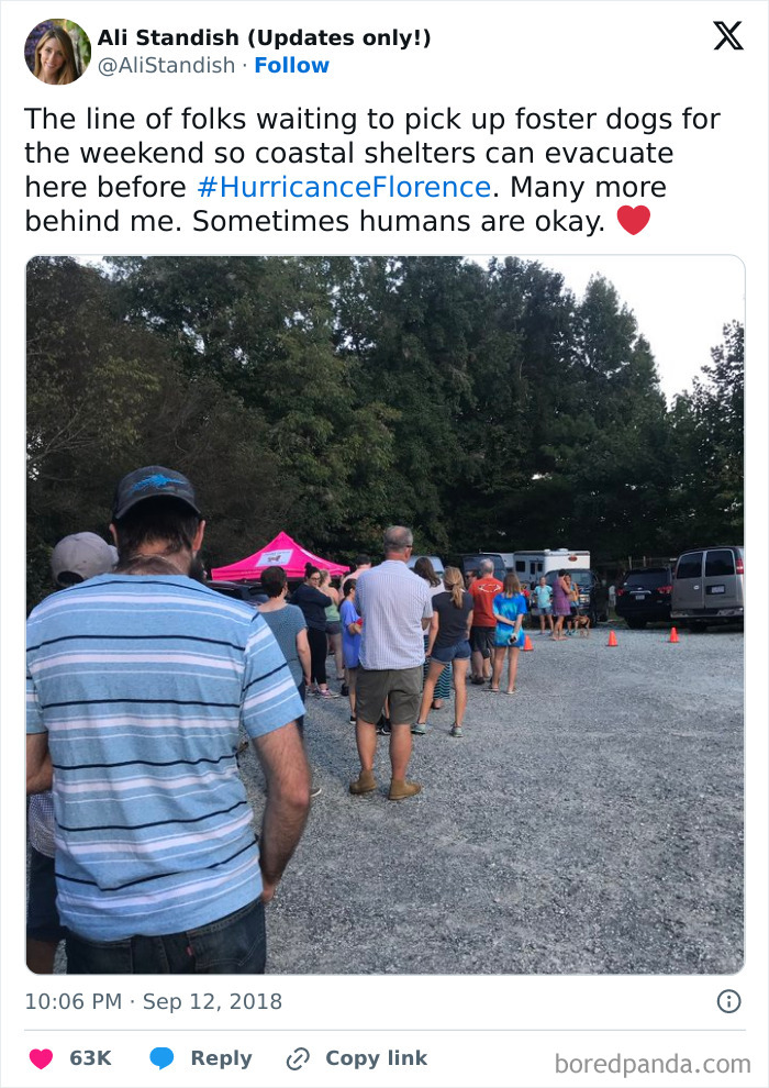 People lined up outdoors waiting to pick up foster dogs from a shelter during Hurricane Florence evacuation efforts.