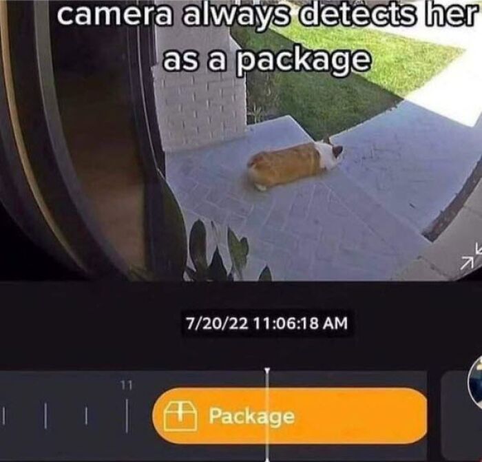 Security camera captures a corgi lying on doorstep labeled as a package in sarcastic meme for those hating taking life seriously.