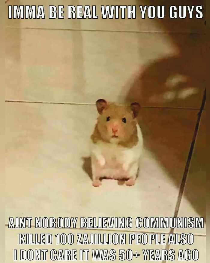 Hamster standing on tiled floor with a serious expression, paired with an outrageous hot takes meme about communism.
