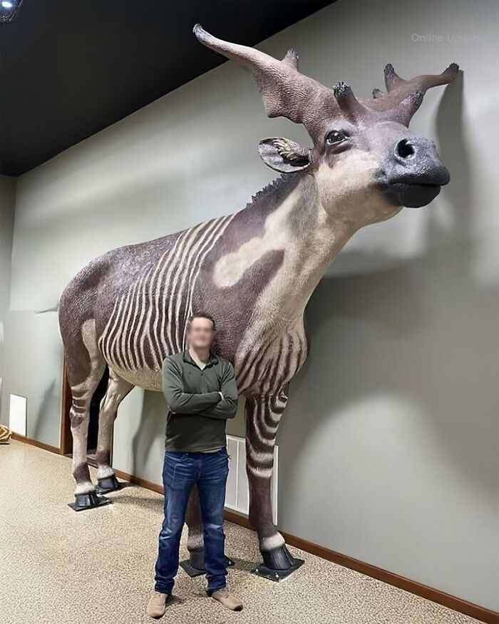 Man standing next to a large prehistoric animal model, showcasing fascinating ancient history exhibit indoors.