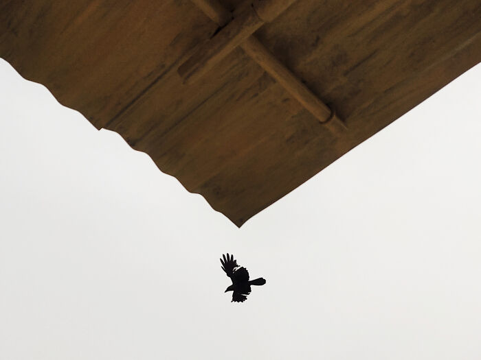 Poetry Of The Ordinary