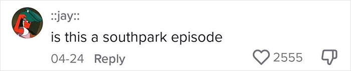 Comment by user ::jay:: questioning if the content is a Southpark episode, with 2555 likes and one dislike.