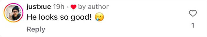 Screenshot of a social media comment praising Brendan Fraser's slimmed down physique with a heart and surprised emoji.