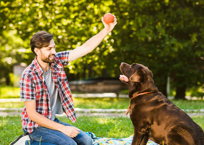 Man sitting on grass holding ball above a dog, illustrating playful moment related to pathetic injuries shared by 109 people.