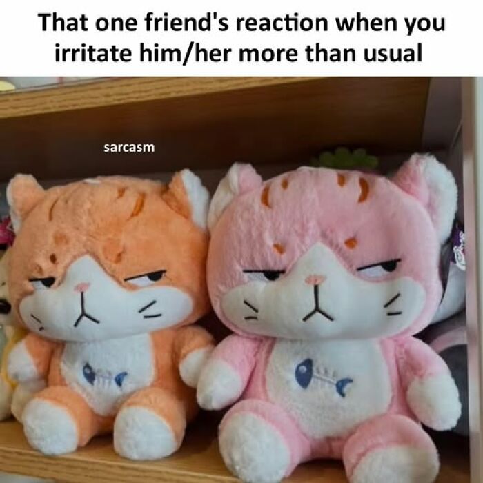 Two plush cats with annoyed expressions illustrating a hilarious meme about friend reactions on a Facebook page.