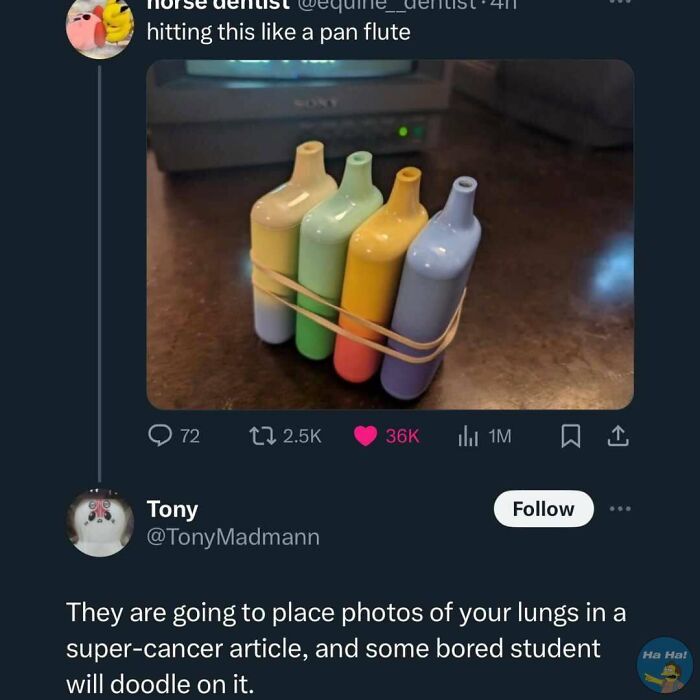 Funny mocking post showing colorful balloon clusters tied with rubber bands as a joke meme about pan flute sounds.