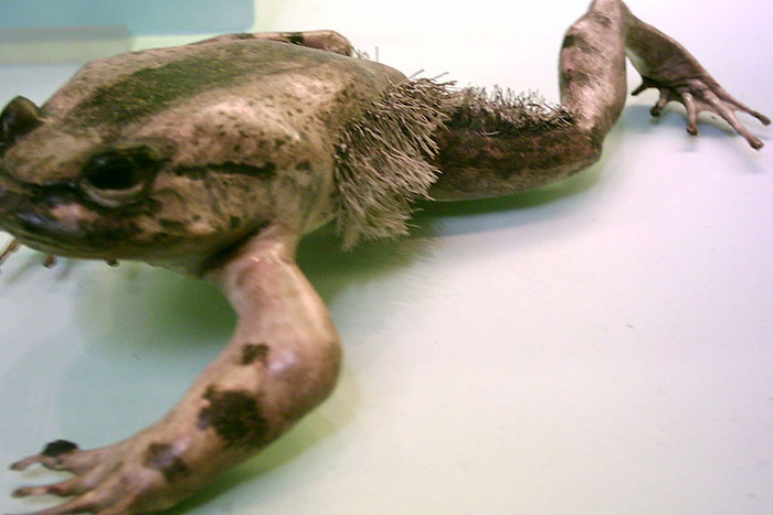 50 Facts From X That Went From “Who Cares?” To “I’m Obsessed” In Seconds