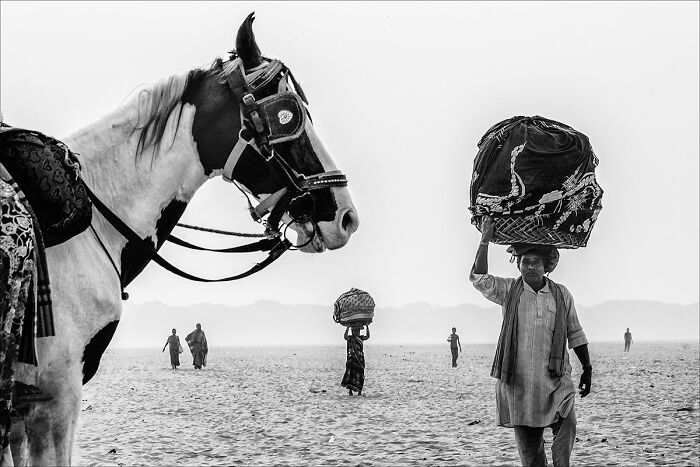 "Untitled" By Mark Seymour (United Kingdom)