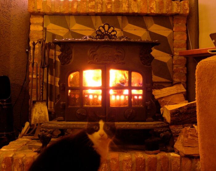 Previous Owners Of Our House Said They Sometimes Heard A Cat In The Dead Of Night