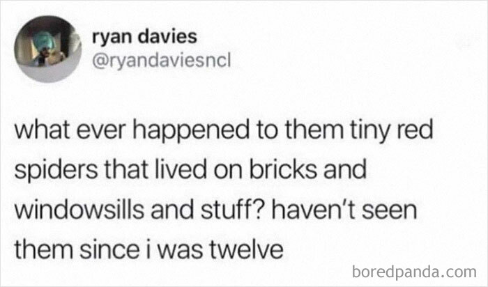 British humour tweet asking what happened to tiny red spiders on bricks and windowsills, showcasing comedic British wit.