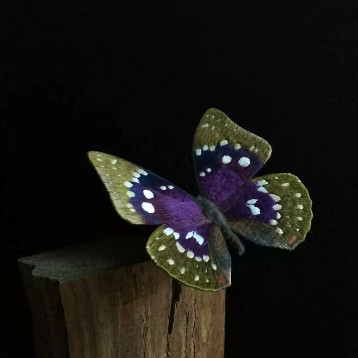 Embroidered fiber moth with detailed purple and green wings perched on a wooden surface against a black background