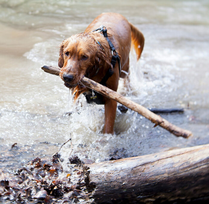 “What’s One Hill That Others May Not Agree With But That You Will Die On?” (37 Answers)