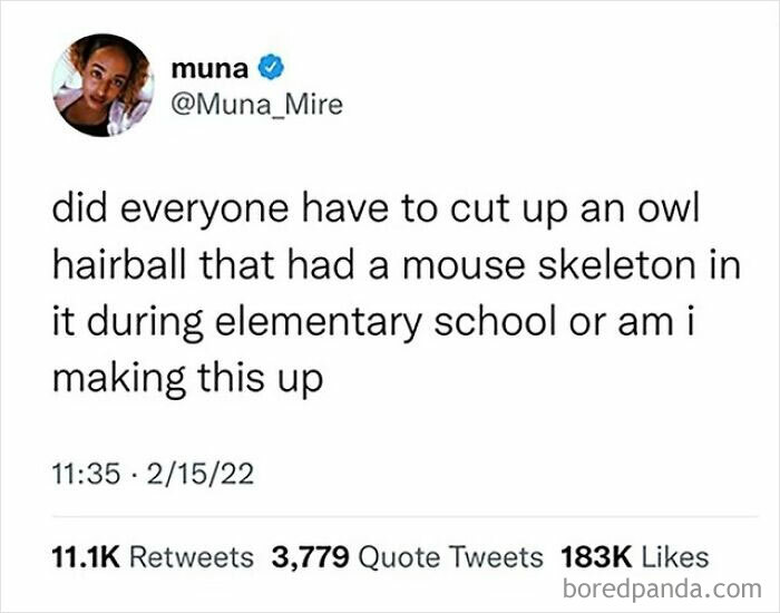 Tweet about dissecting an owl hairball with a mouse skeleton from elementary school shared in nostalgic pics collection.