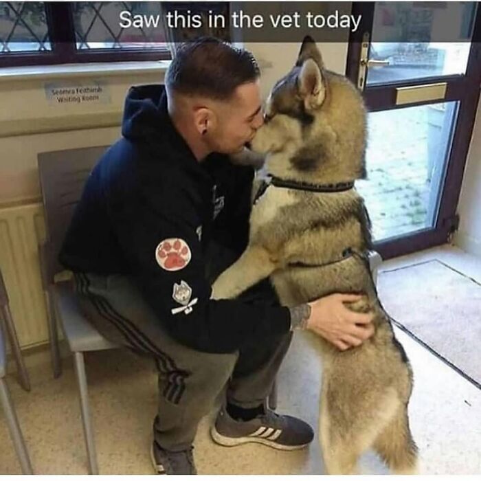 Man sitting and hugging a large dog at the vet, a funny and silly animal meme to lift your spirits.
