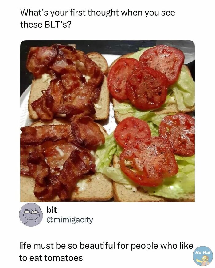 Close-up of an open-faced BLT sandwich with bacon, lettuce, and tomato shared in mocking posts jokes memes format.