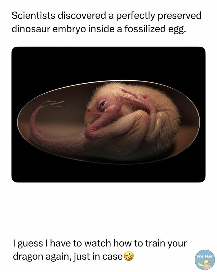 A mocking posts jokes memes showing a dinosaur embryo inside a fossilized egg with a humorous caption.