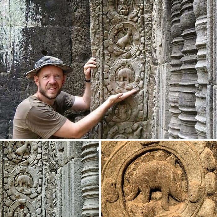 Man examining ancient stone carvings with elephant motifs, highlighting interesting posts about ancient history discoveries.