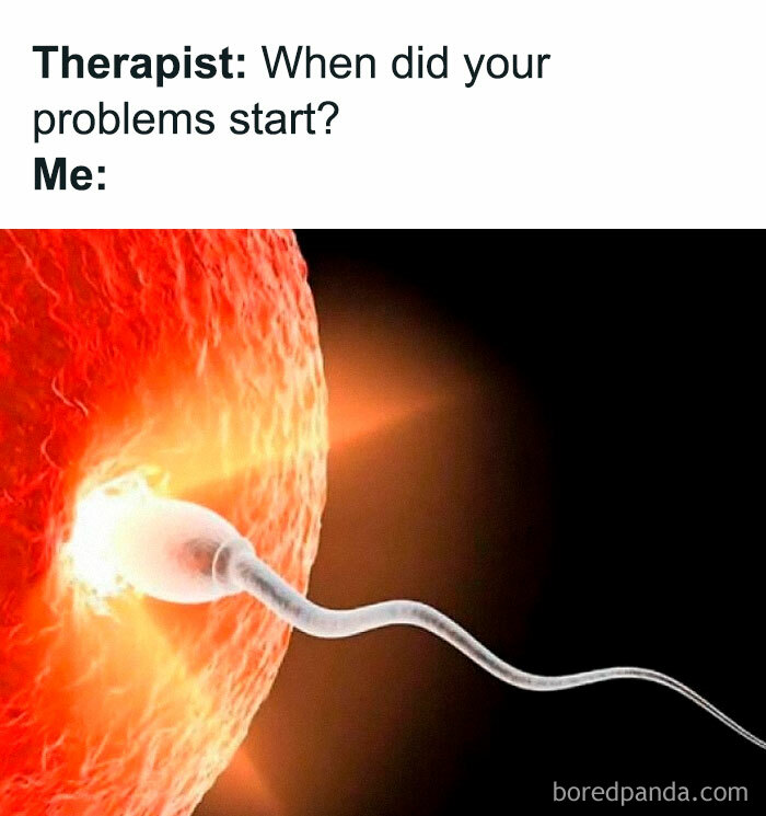 Meme from a Facebook page about hilarious memes showing a s***m meeting an egg with therapist text joke.