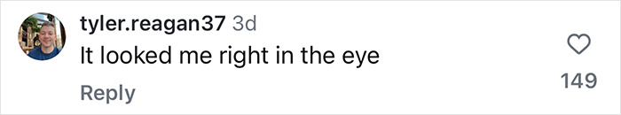 Comment by user tyler.reagan37 saying It looked me right in the eye on a social media post about Britney Spears fans spotting X-rated detail in Sam Asghari workout video.